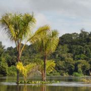 Tapajos - Foto de Wilson Cabral Junior